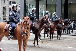 Occupy Chicago May Day - Illinois Police 3