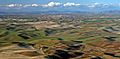 Palouse from Steptoe Butte