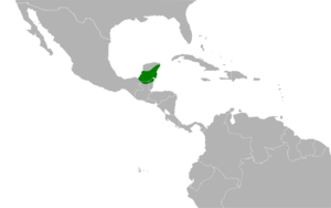 Piranga roseogularis map.svg