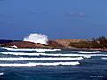 Playa de Isabela, Puerto Rico - panoramio