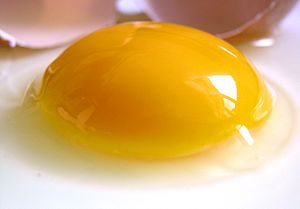 Raw egg