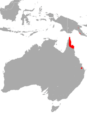 Semon's Roundleaf Bat area.png