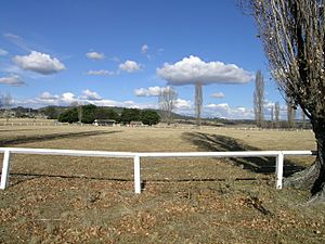 Stonehenge NSW