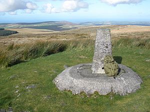 Summit of Foel Cwmcerwyn - geograph.org.uk - 1001038