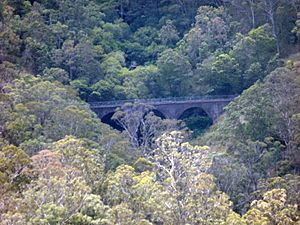 Swansons Rail Bridge.jpg