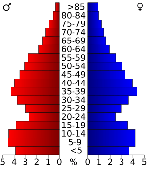 USA Boone County, Illinois age pyramid