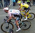 Van der Poel and Schelling