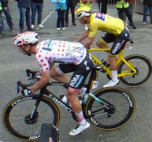 Van der Poel and Schelling