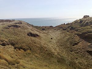 Walpen Chine river bed