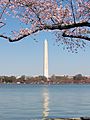 Washington Monument 3