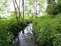 Wom Brook from Rookery Footbridge.JPG