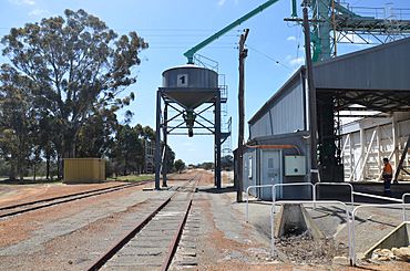 Yealering silos from south.JPG