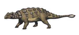 Ankylosaurus magniventris reconstruction