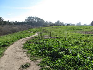 Arana Gulch Area hiking trail.