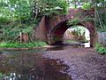 Beaulieu river under railway arch