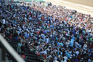 Belmont crowd