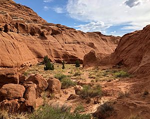 Box Canyon Kodachrome Basin SP