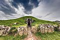 Bryn Ceilli Ddu