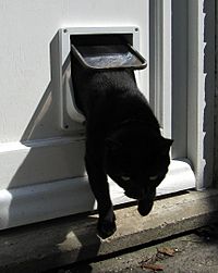 Cat flap