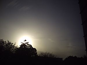 Cirrostratus with mock sun.jpg