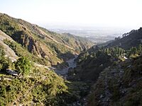 Dharamsala-valley