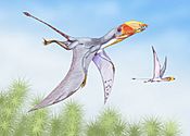 Dimorphodon2DB.jpg