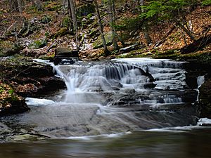 Double Run Nature Trail (3)