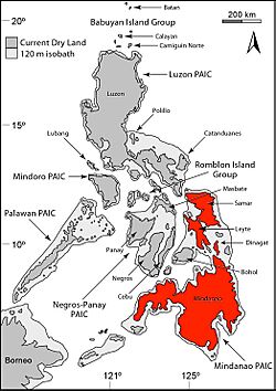 Draco mindanensis distribution