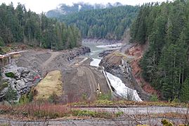 Elwha dam remnants