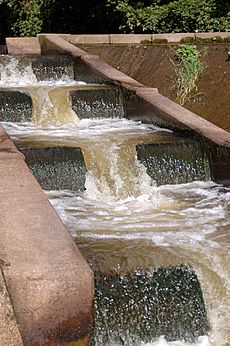 Fish pass