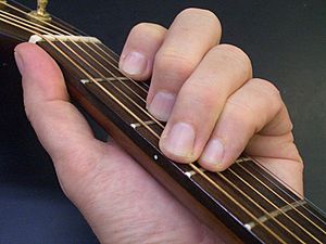 Frets, guitar neck, C-major chord