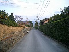 Gardens with natsumikans in hagi