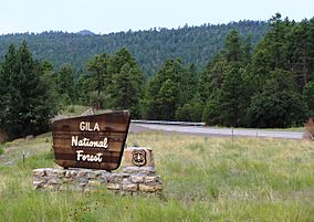 Gila Natl Forest Nima1.JPG