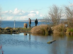 Golden Gardens 06.jpg