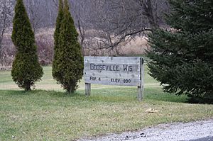 GoosevilleWisconsinSign.jpg