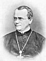 Gregor Mendel Monk