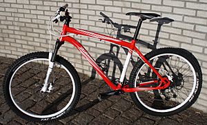 HardtailMountainBike 2010 Specialized Rockhopper