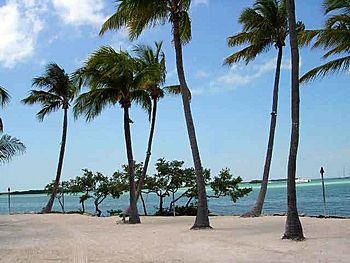 Islamorada Florida.jpg