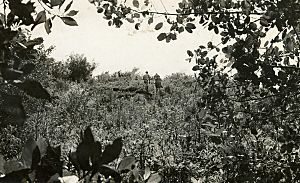 Koreshans walking on Calusa-built mounds on Mound Key (11340394465)