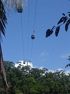 Kuranda-Skyrail