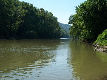 Levisa Fork in Paintsville.jpg