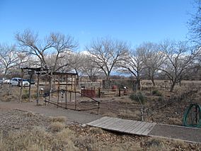 Mariposaville Pollinator Habitat, Rio Grande Nature Center State Park, Albuquerque NM.jpg