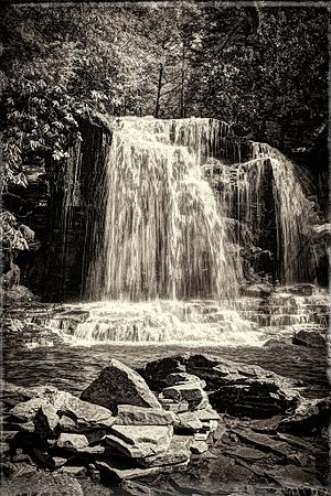 Mullet Falls