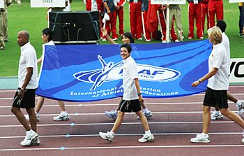 Osaka07 Opening Flag Stars