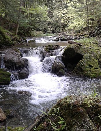 OtsquagoCreekRapids.jpg