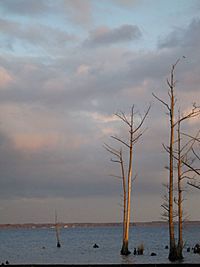 Pasquotankriver