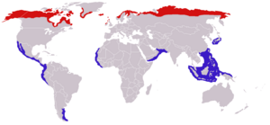 Phalaropus lobatus distribution.png