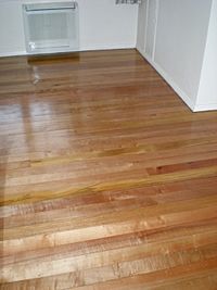 Red Beech flooring, Nelson, NZ