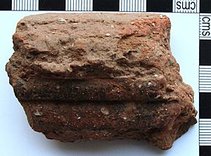 Rim sherd (FindID 481885-364827)