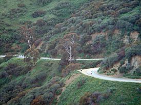 Runyon Paved Section.jpg